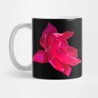 Pink Bloom Rose Mug